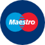 maestro logo 